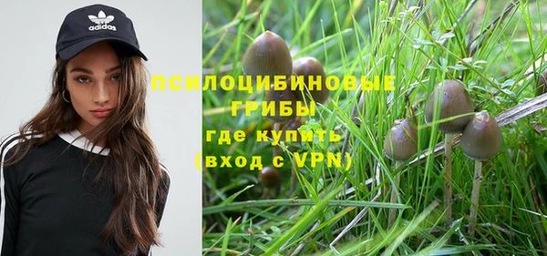 молекула духа Беломорск