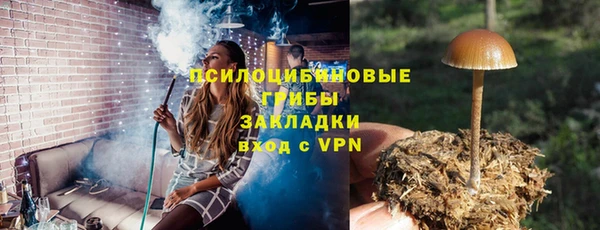 mdpv Белокуриха