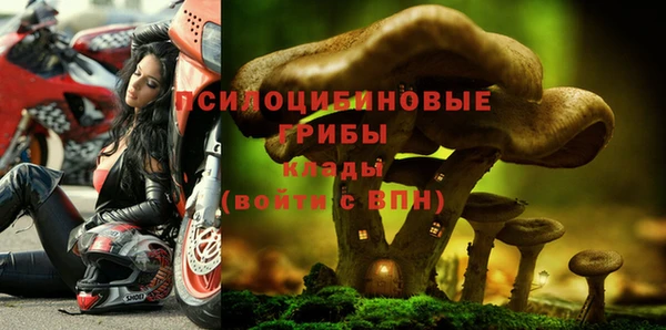 молекула духа Беломорск
