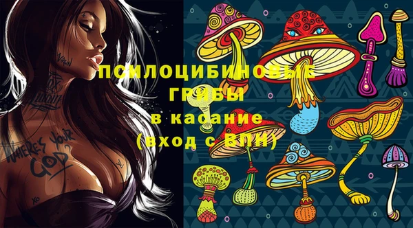 молекула духа Беломорск