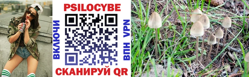 Галлюциногенные грибы Magic Shrooms  кракен как зайти  Верхотурье  наркотики 